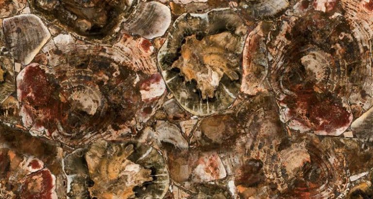 אבן קיסר 8330